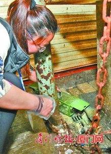 国产捕鼠达人视频,智慧捕鼠新篇章