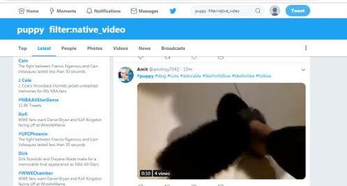 搜索国产一级毛片视频,那些被隐藏的“一级毛片”视频真相