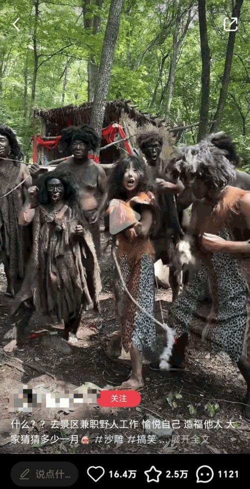 野人视频免费观看国产,野人视频带你领略本土影视魅力