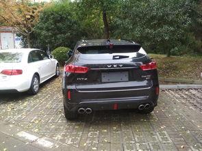 国产车过年回家自驾视频,国产车带你领略春节团圆之旅