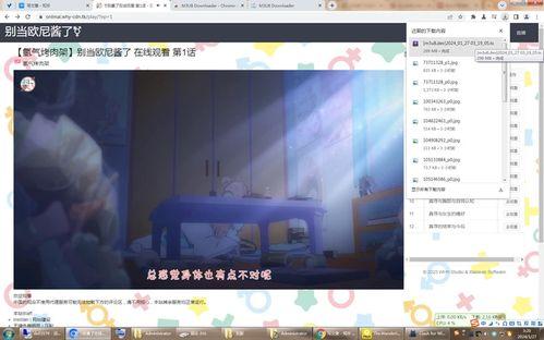 国产挙交视频网站,探索国内视频网站的精彩世界
