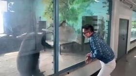 国产牛奶翻车视频大全集,揭秘那些触目惊心的食品安全事件