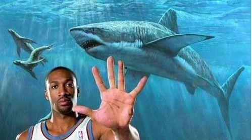 国产小鲨鱼塔视频