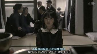 国产 qj 视频,探索科技与艺术的完美融合