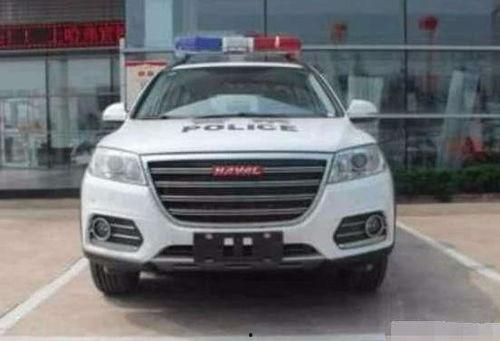 外国人看国产警车视频,一场视觉与文化碰撞之旅